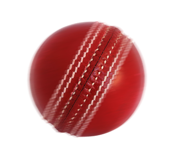 Cricket Ball